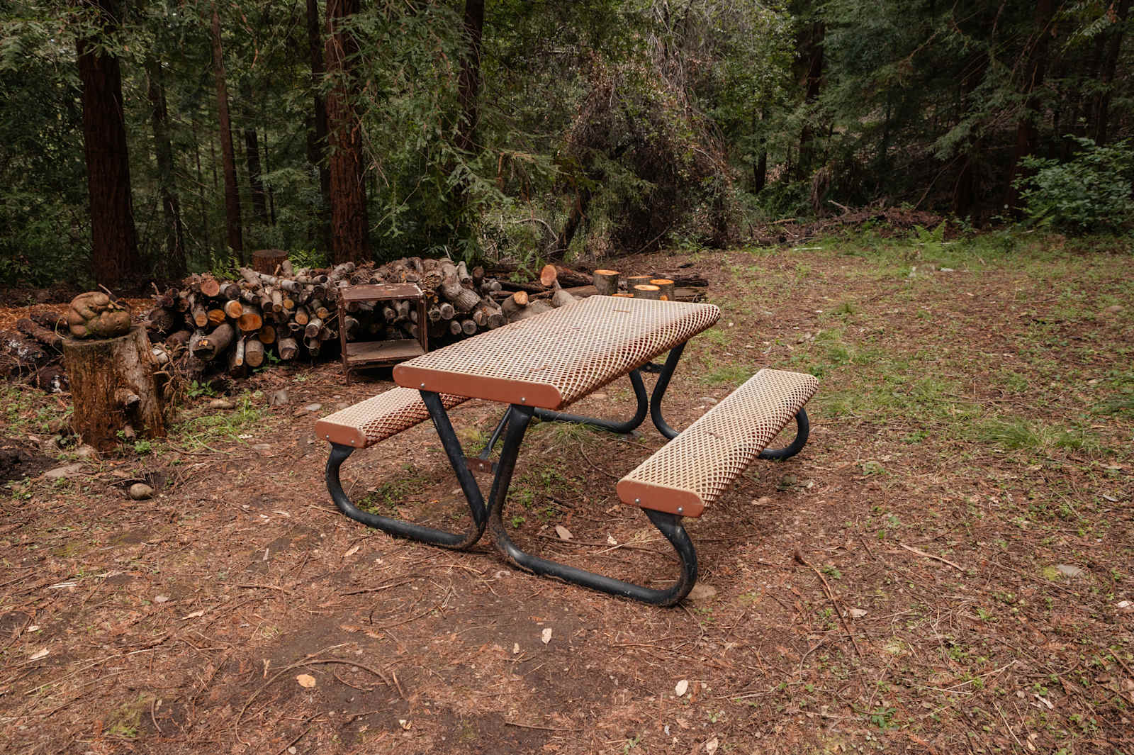 Sacred Earth Retreat (SER) - Boulder Creek, California - glamping.directory