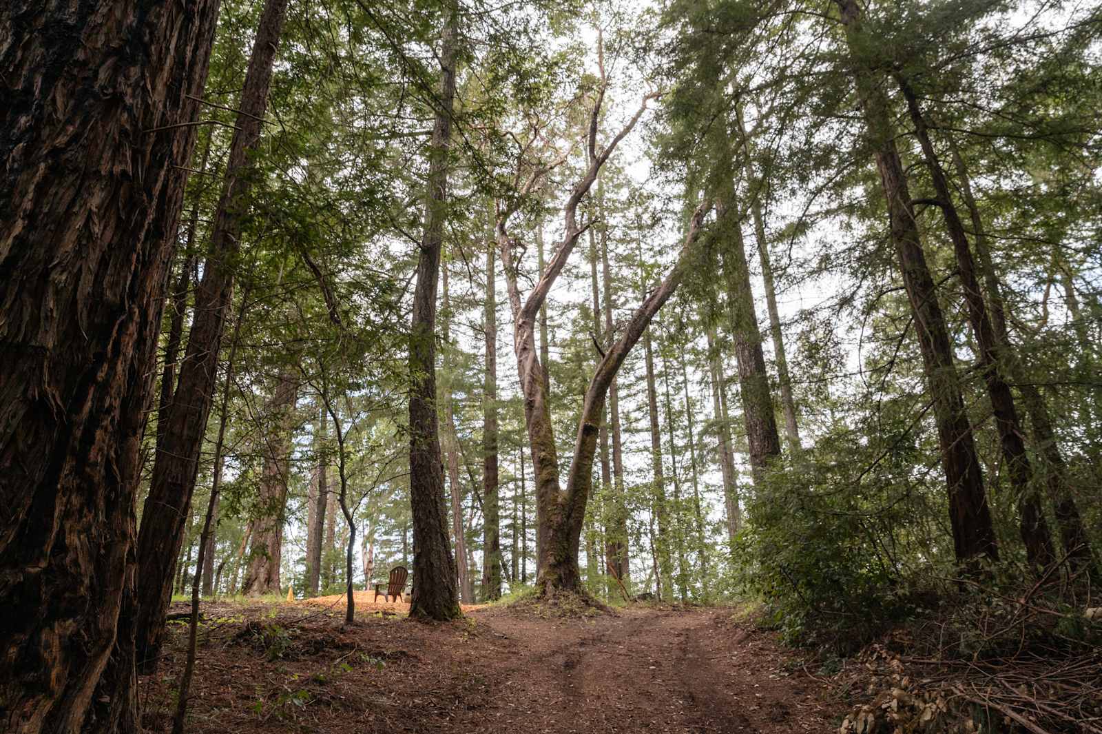 Sacred Earth Retreat (SER) - Boulder Creek, California - glamping.directory