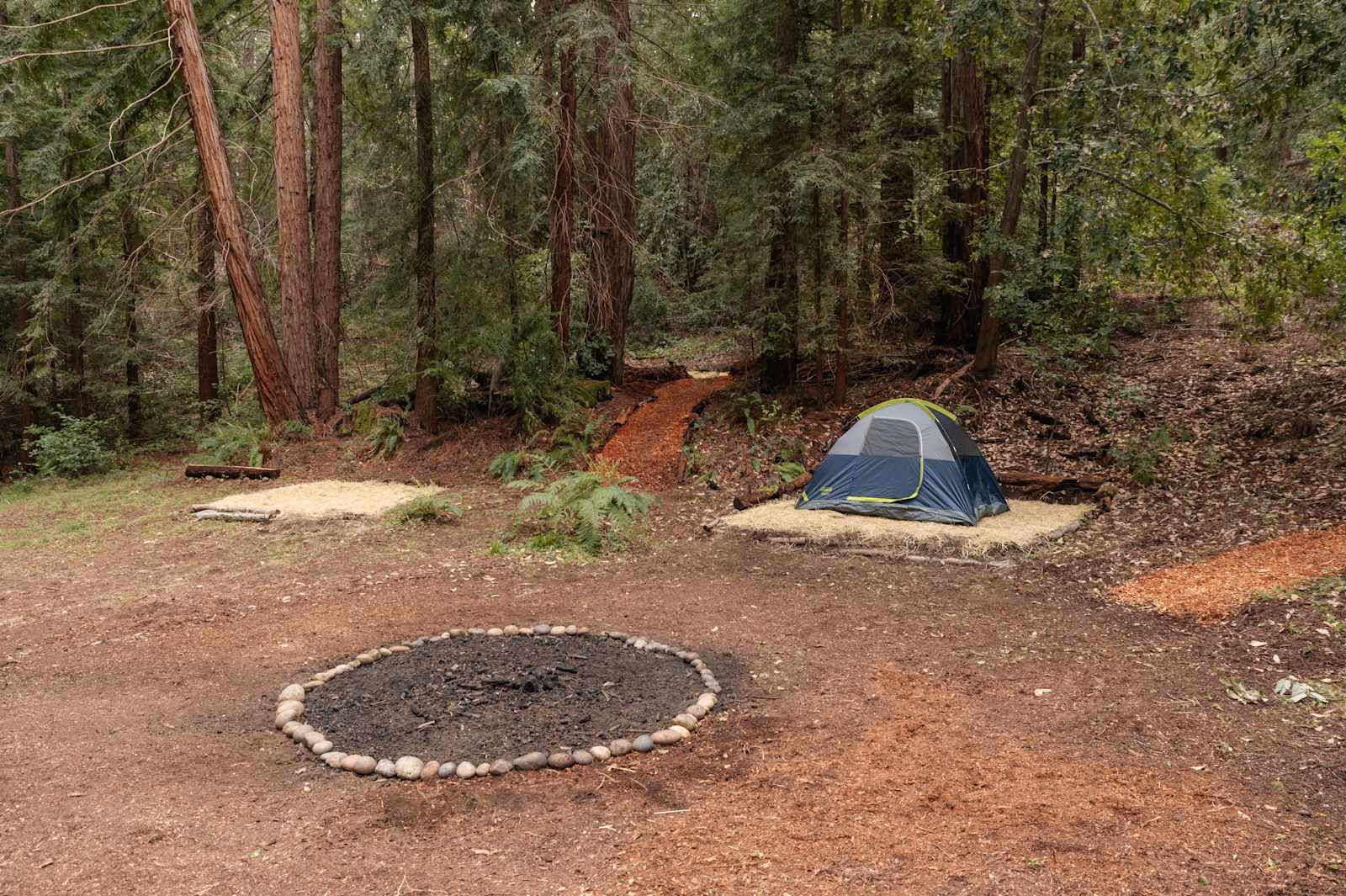 Sacred Earth Retreat (SER) - Boulder Creek, California - glamping.directory
