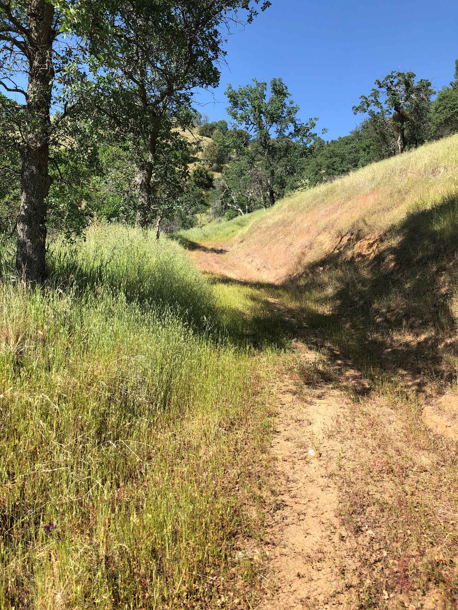 Ace's Yosemite Hide Out - Coarsegold, California - glamping.directory
