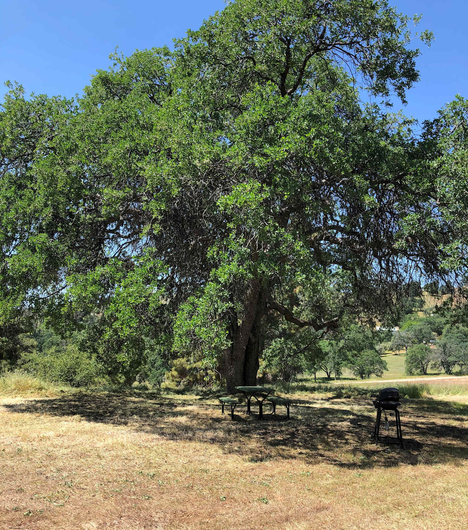 Ace's Yosemite Hide Out - Coarsegold, California - glamping.directory