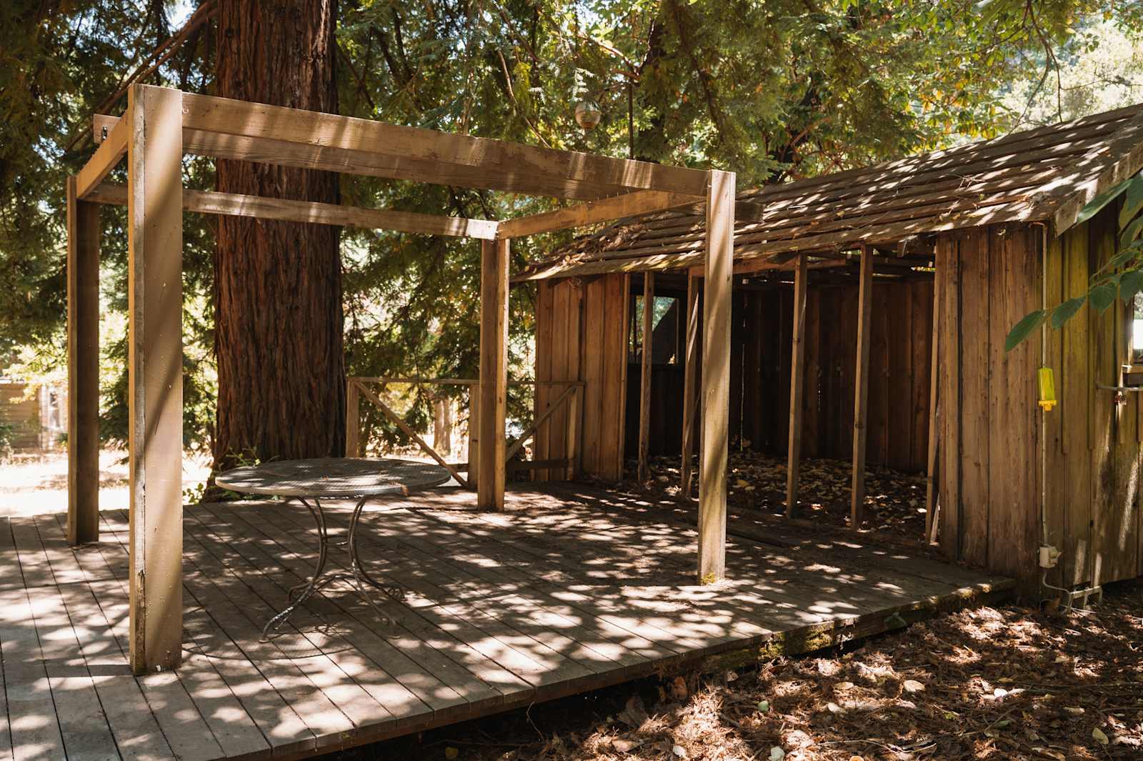Redwood Meadows - glamping.directory