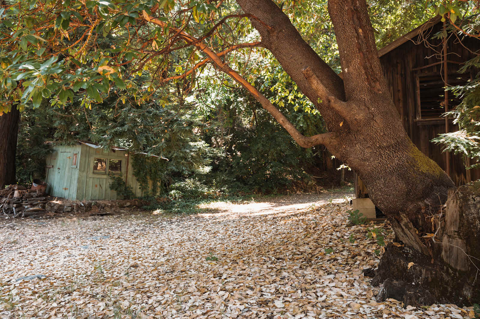 Redwood Meadows - Saratoga, California - glamping.directory