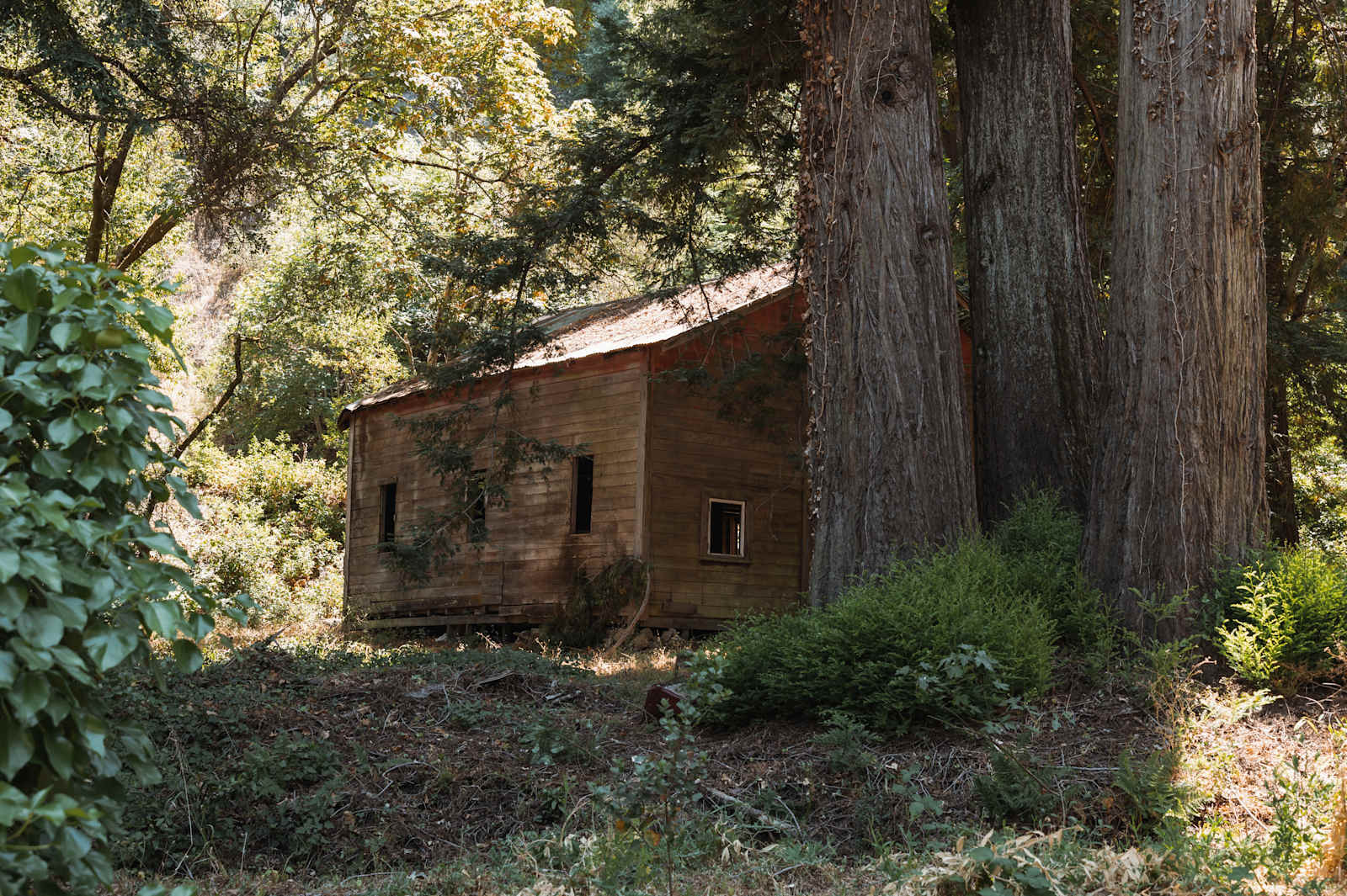 Redwood Meadows - Saratoga, California - glamping.directory