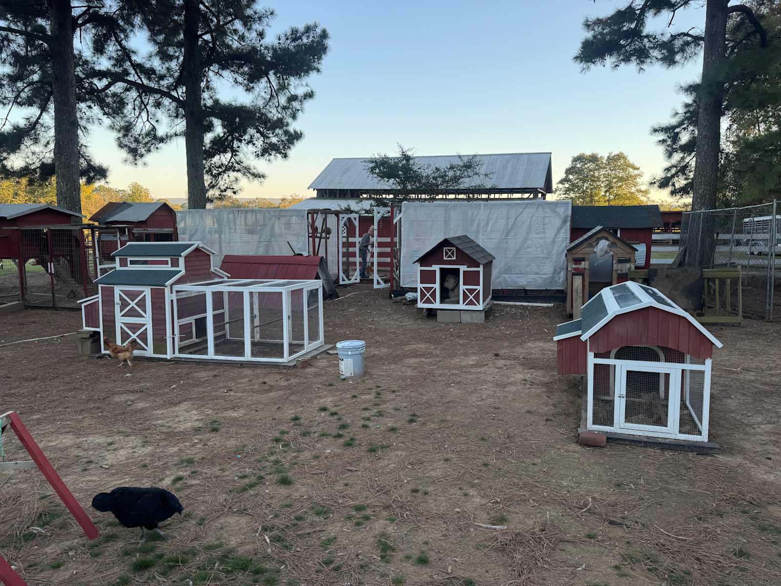 Lost Creek Farm - Knoxville, Arkansas - glamping.directory