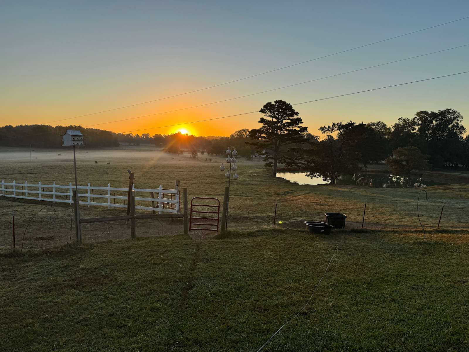 Lost Creek Farm - Knoxville, Arkansas - glamping.directory