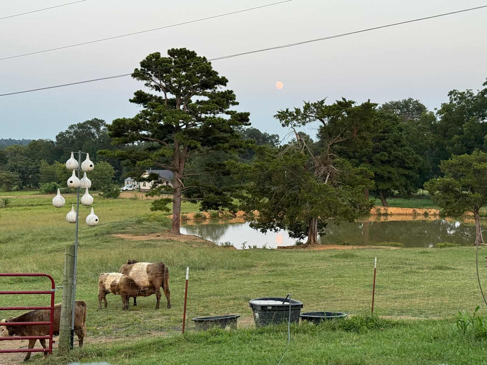Lost Creek Farm - Knoxville, Arkansas - glamping.directory
