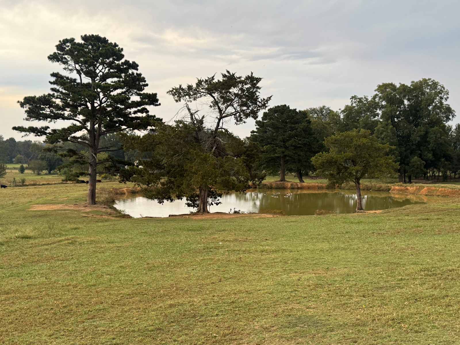 Lost Creek Farm - Knoxville, Arkansas - glamping.directory