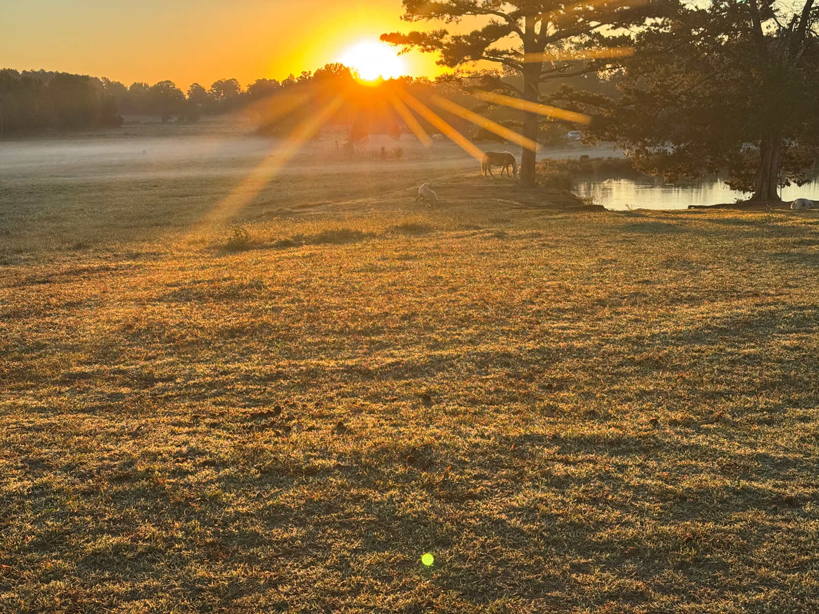 Lost Creek Farm - glamping.directory