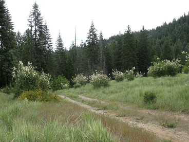 Charming Cabin for Sierra Nevada Getaways - Nevada City, California - glamping.directory