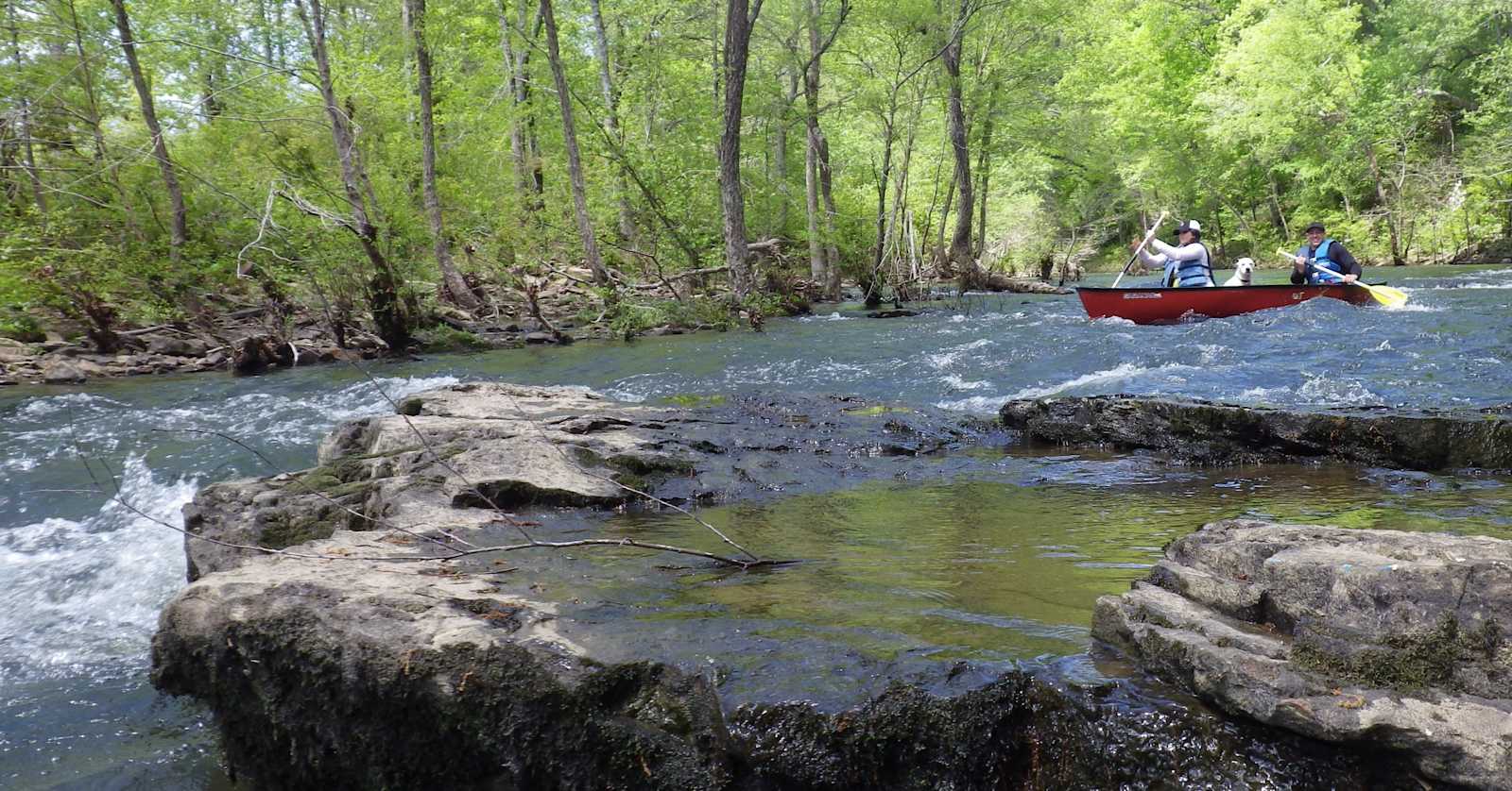 Pinnacle Springs Recreational Park - Greenbrier, Arkansas - glamping.directory