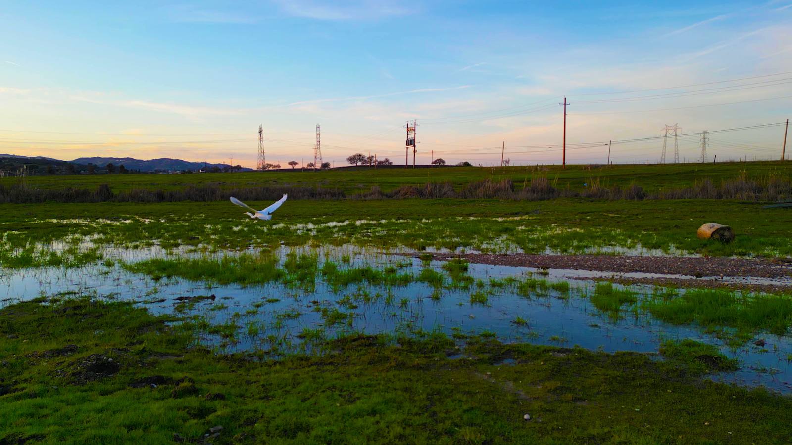 Relaxing Natural Hot Springs - Templeton, California - glamping.directory