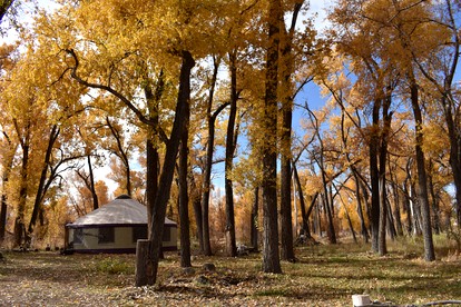 Secluded Woodland Yurt Getaway on Gunnison River in Southwest Colorado - Paonia, Colorado - glamping.directory