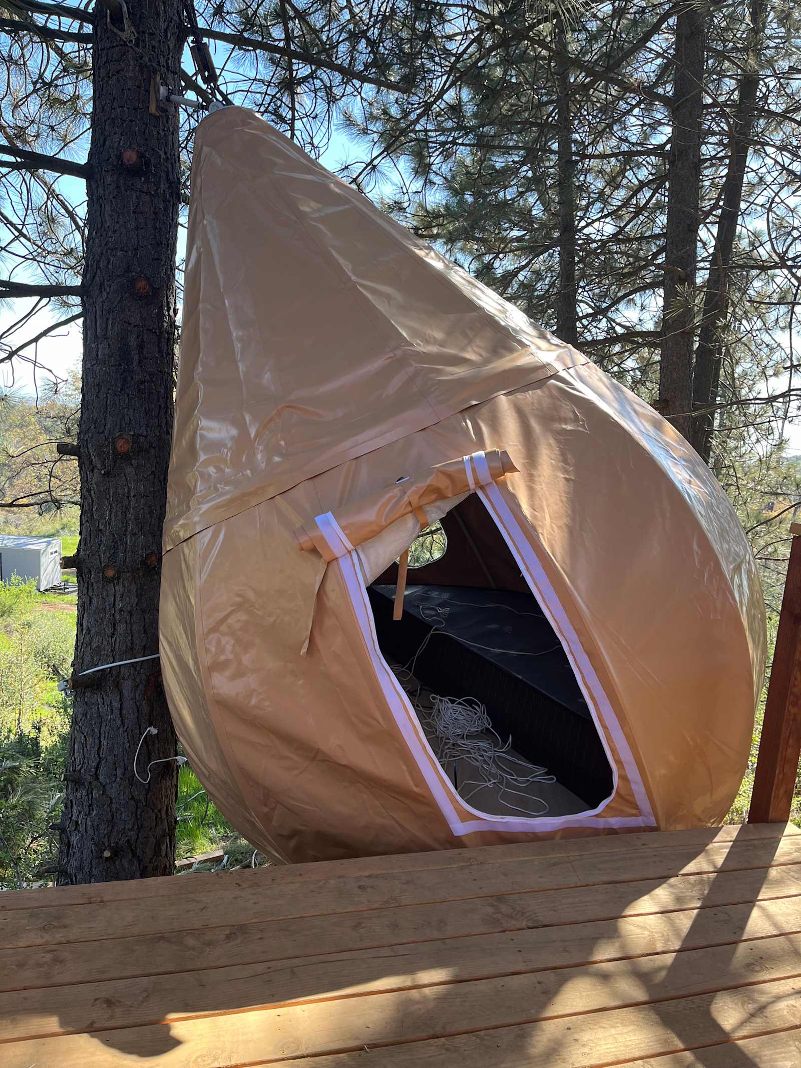 Mike And Di's Retreat- 15 min to NP - Dunlap, California - glamping.directory