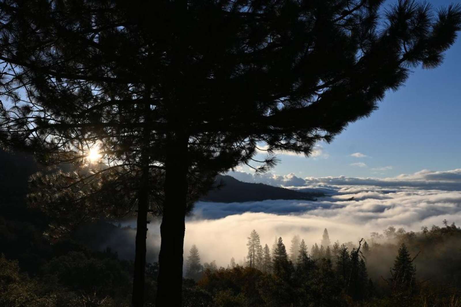 Mike And Di's Retreat- 15 min to NP - Dunlap, California - glamping.directory