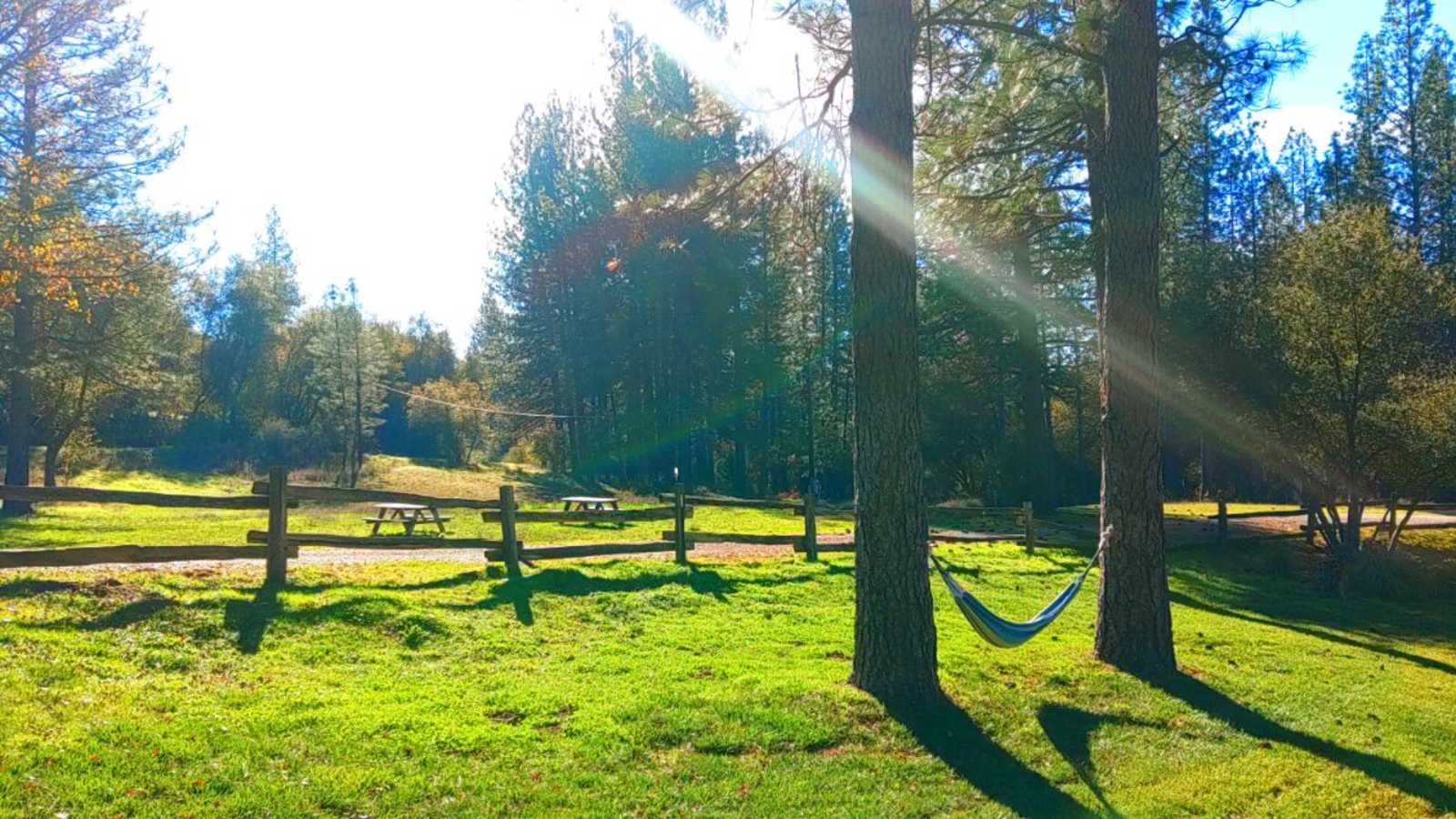 HOME OF THE ZIN MAN - Somerset, California - glamping.directory