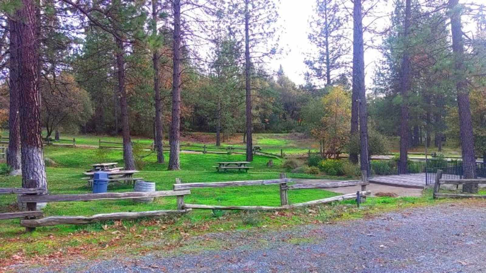 HOME OF THE ZIN MAN - Somerset, California - glamping.directory