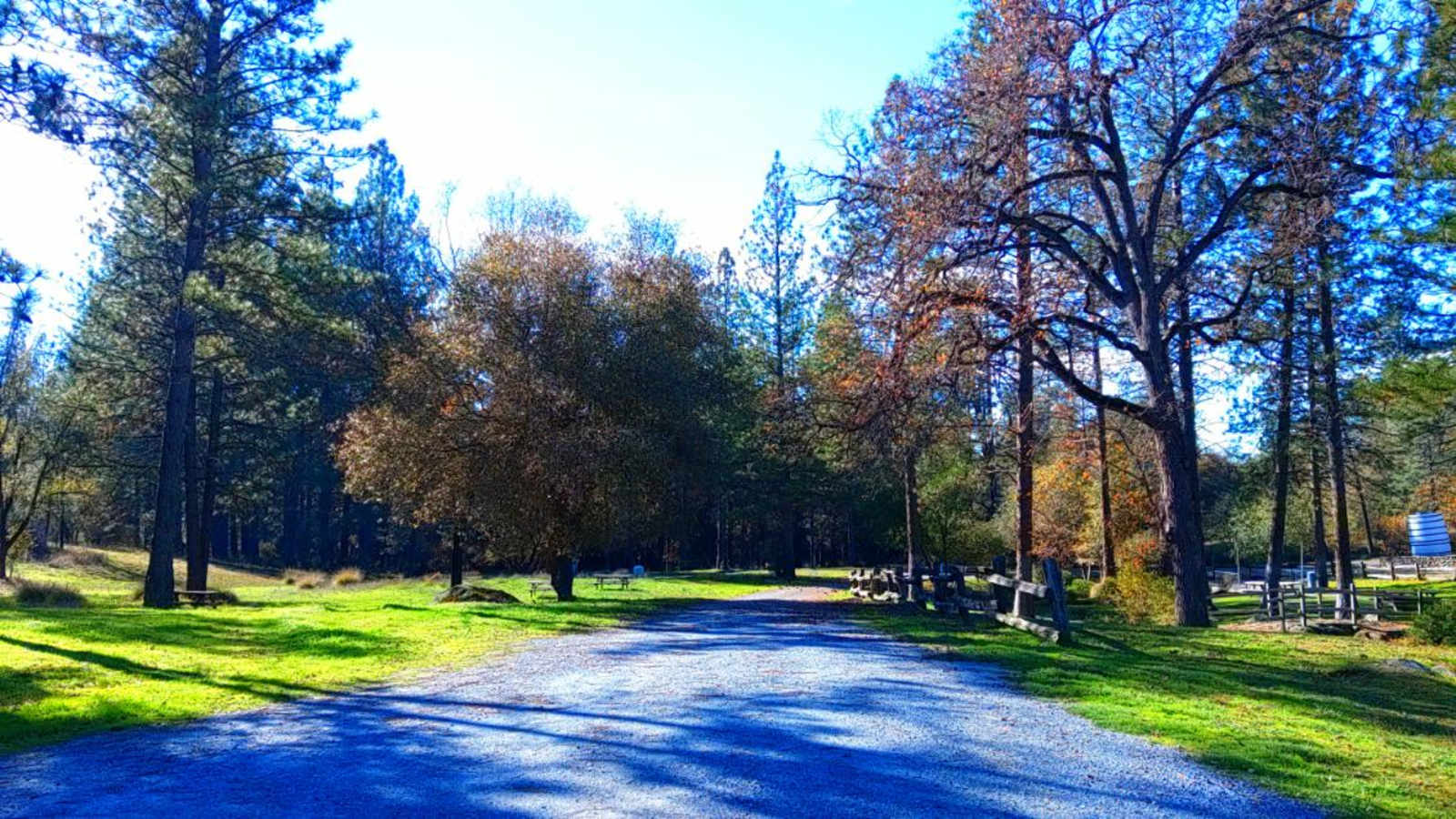HOME OF THE ZIN MAN - Somerset, California - glamping.directory