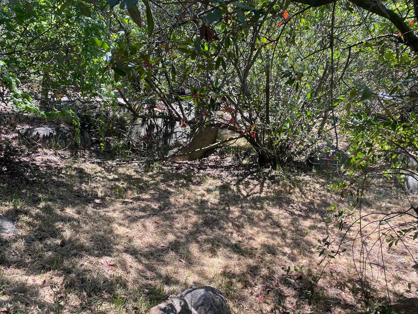 Old well ranch - Jamul, California - glamping.directory