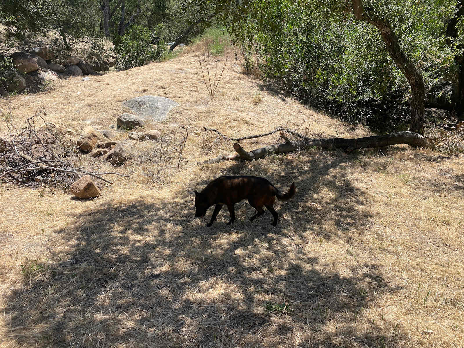 Old well ranch - Jamul, California - glamping.directory