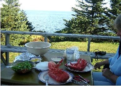 Oceanfront Luxury Cabin near Pemaquid Point Lighthouse in Pemaquid, Maine - South Bristol, Maine - glamping.directory