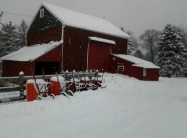 Cozy Vacation Room on a Farm Stay in Coopersburg, Pennsylvania - glamping.directory