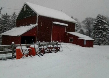 Cozy Vacation Room on a Farm Stay in Coopersburg, Pennsylvania - Cooksburg, Pennsylvania - glamping.directory
