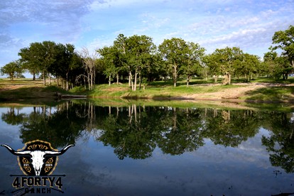 Enchanted Woodland Cabins by the Mountain in Texas with Private Pond and Scenic Trails - Alvord, Texas - glamping.directory