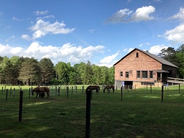 Deluxe Barn on a Horse Farm in Allegheny National Forest - glamping.directory