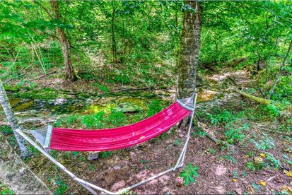 Picturesque Bell Tent with Fire Pit and Picnic Area in Alabama - Rogersville, Alabama - glamping.directory