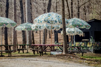 Charm in the Mountains: Your Nicest Getaway Awaits at Our One-of-a-Kind Tracy City Cabin - Tracy City, Tennessee - glamping.directory