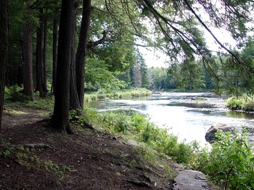 Riverfront Cabin Rental with Lovely Screened Porch near Potsdam, New York - Potsdam, New York - glamping.directory