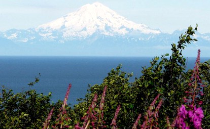 Private Cabin for Authentic Fishing Getaway on the Kenai Peninsula of Alaska - Ninilchik, Alaska - glamping.directory
