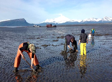 Private Cabin for Authentic Fishing Getaway on the Kenai Peninsula of Alaska - Ninilchik, Alaska - glamping.directory