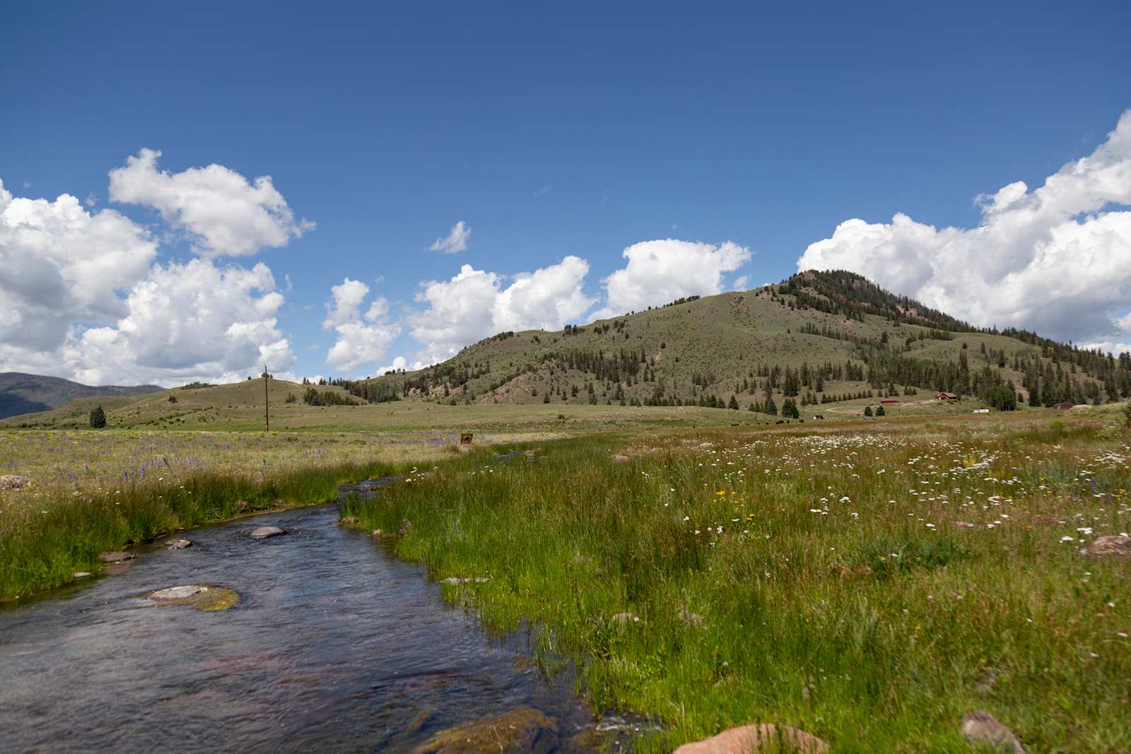 Bristol Mountain RV Park & Cabins - Creede, Colorado - glamping.directory