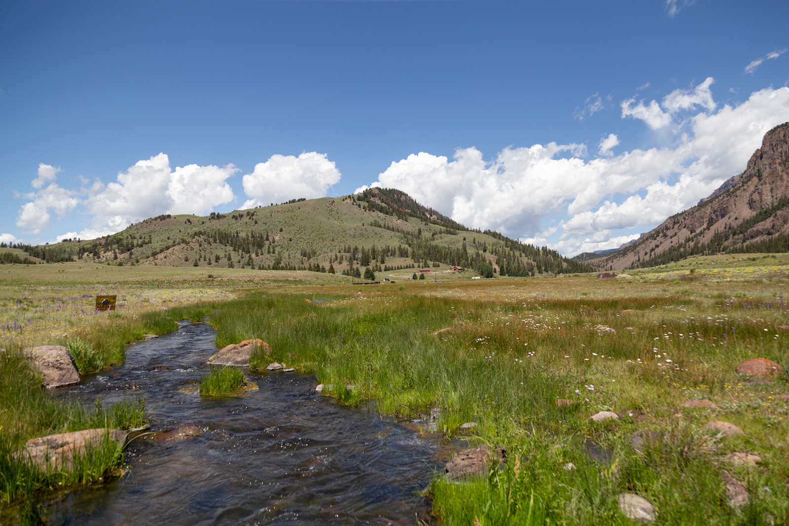 Bristol Mountain RV Park & Cabins - Creede, Colorado - glamping.directory