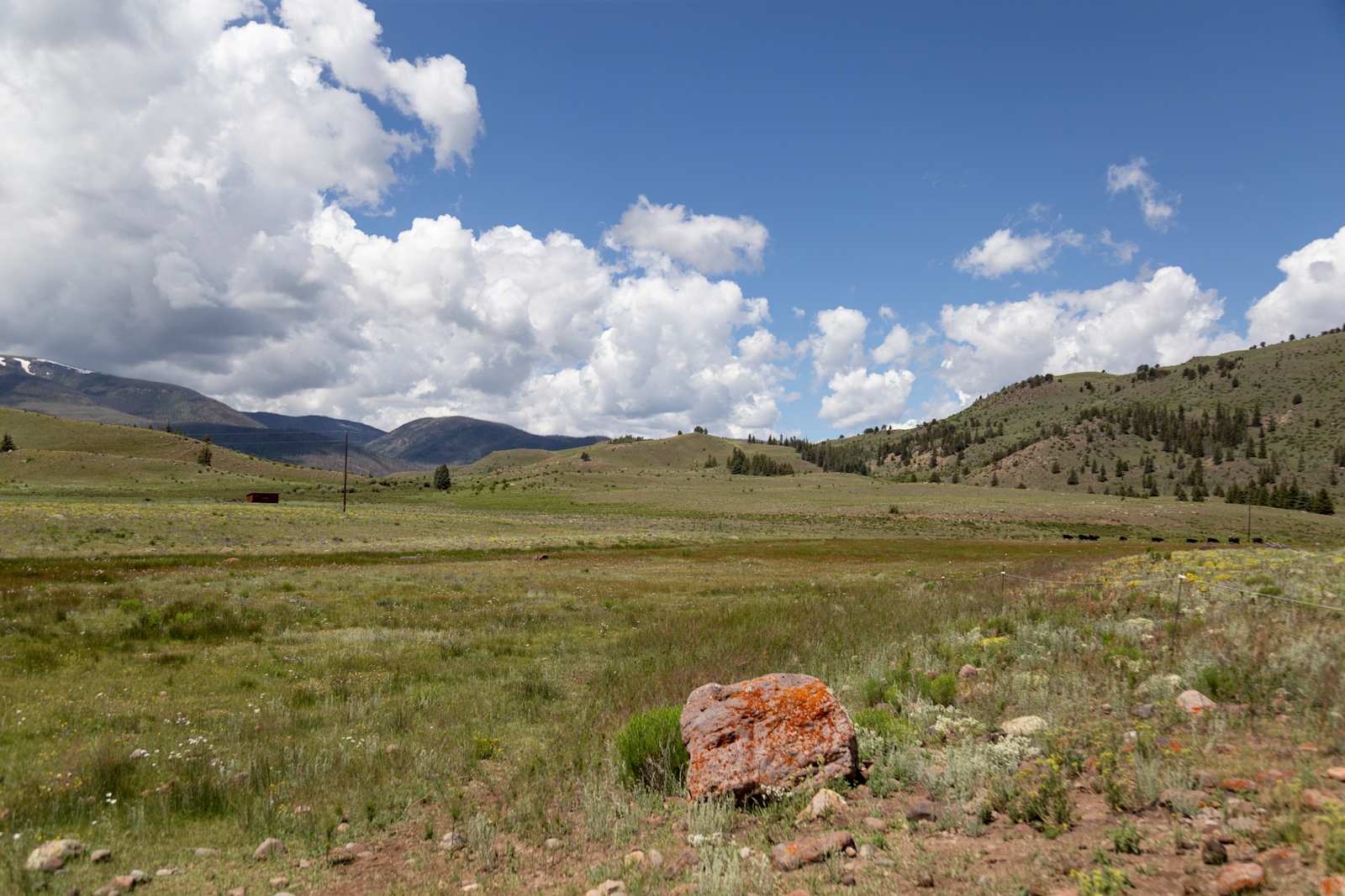 Bristol Mountain RV Park & Cabins - Creede, Colorado - glamping.directory