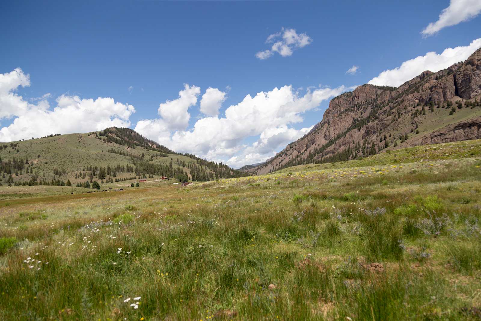 Bristol Mountain RV Park & Cabins - Creede, Colorado - glamping.directory