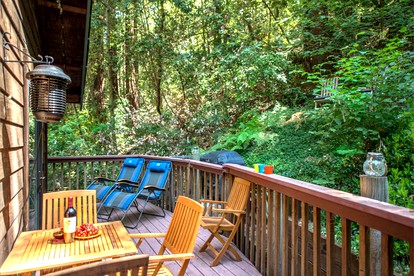 Secluded Cabin Rental with a Ping Pong Table near Johnson's Beach in California - Guerneville, California - glamping.directory