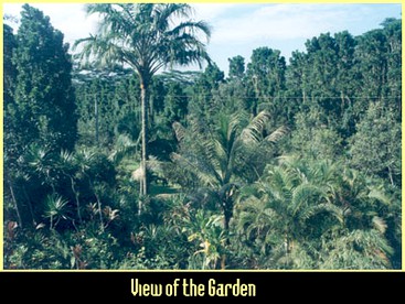 Secluded Vacation Rental with a Private Balcony on the Big Island, Hawaii - Pahoa, Hawaii - glamping.directory