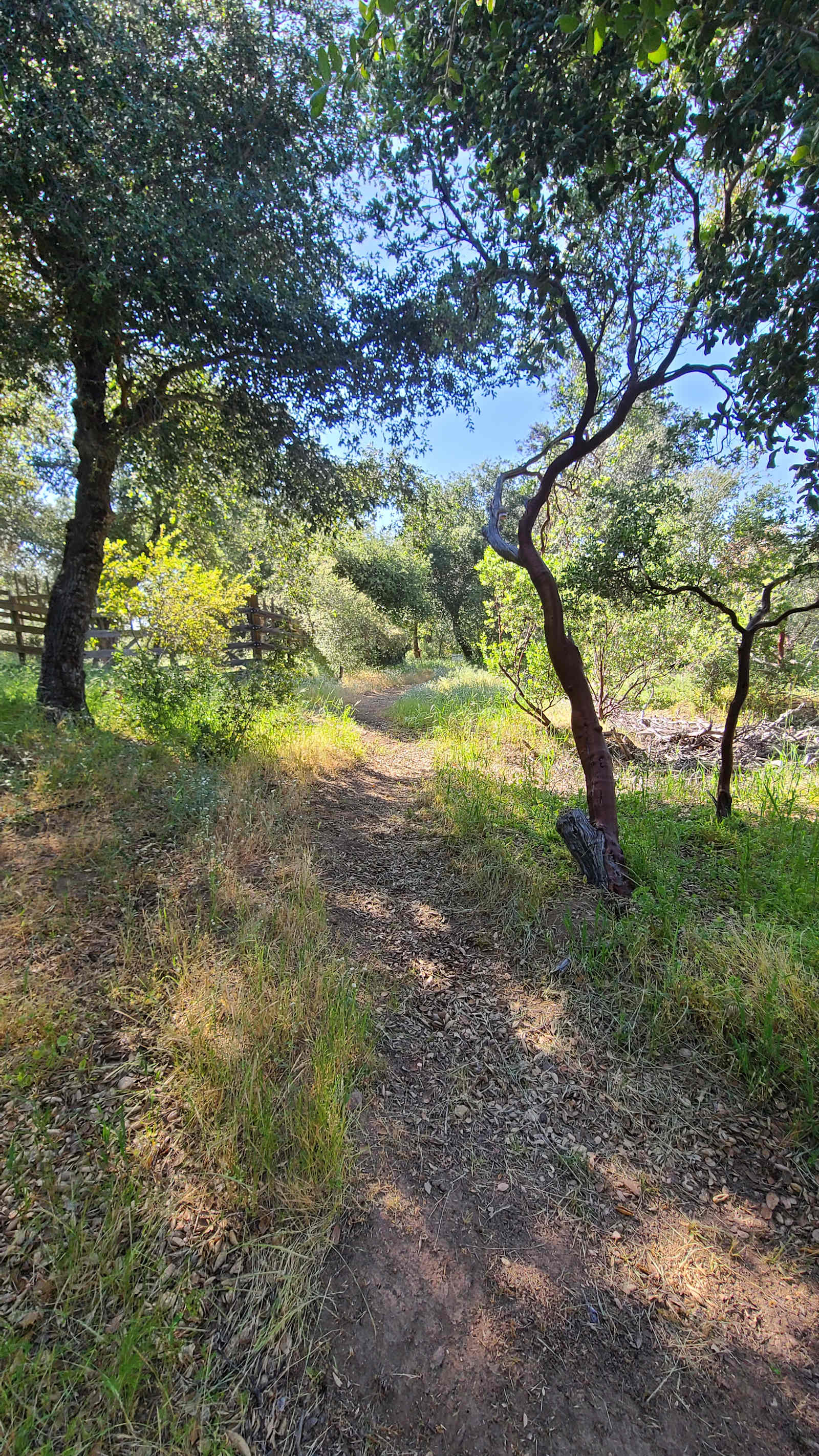 Luxury Glamping - Manzanita Cove - Julian, California - glamping.directory