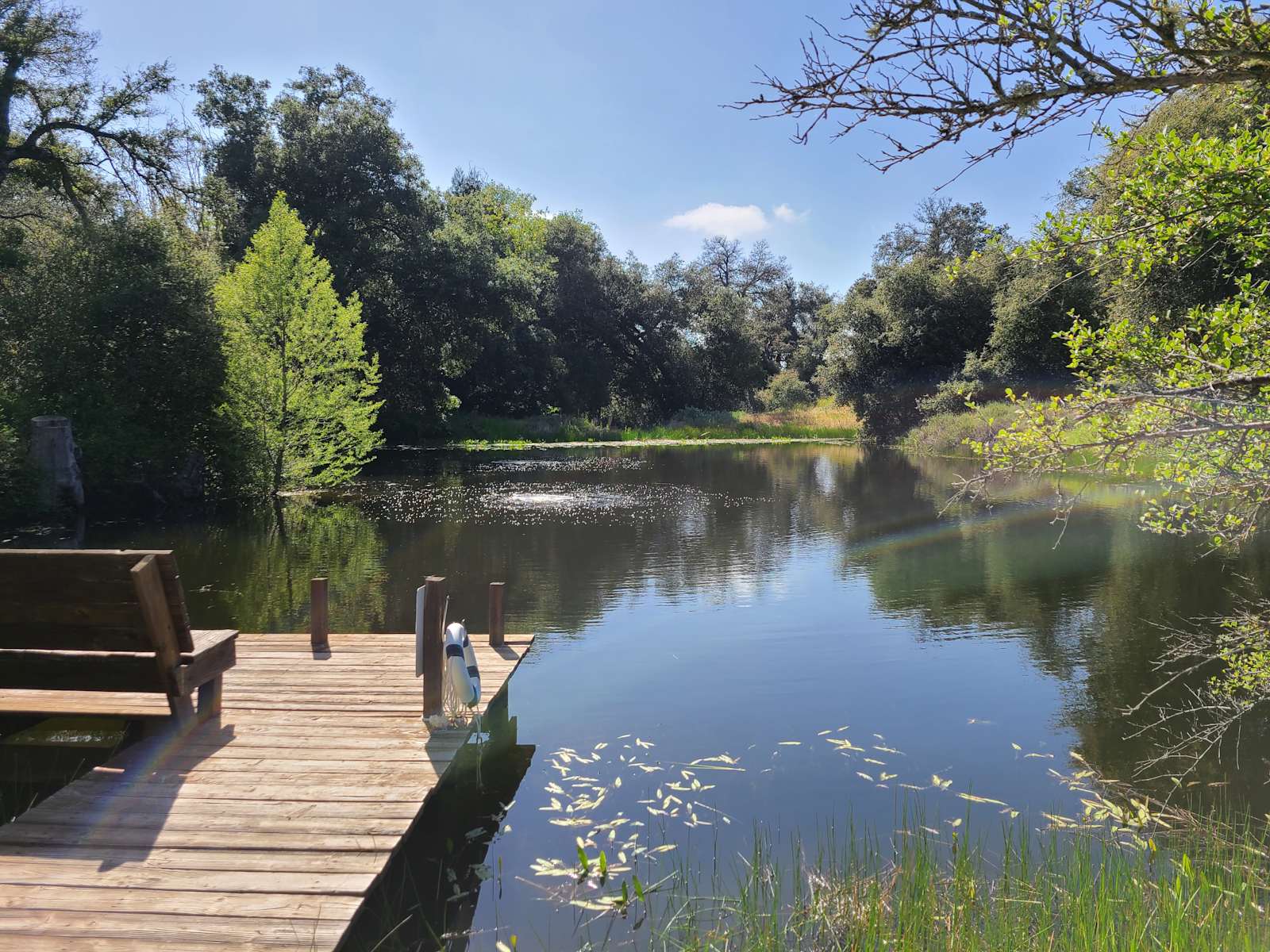 Luxury Glamping - Manzanita Cove - Julian, California - glamping.directory