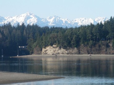 Rustic Cabin with a Pool and Hot Tub on Harstine Island in Washington - Shelton, Washington - glamping.directory