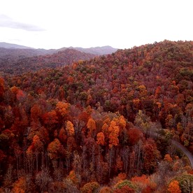 Cozy Cabin for a Peaceful Family Getaway in Nantahala National Forest, North Carolina - 163 Clinton Cabin RdAquone, North Carolina - glamping.directory