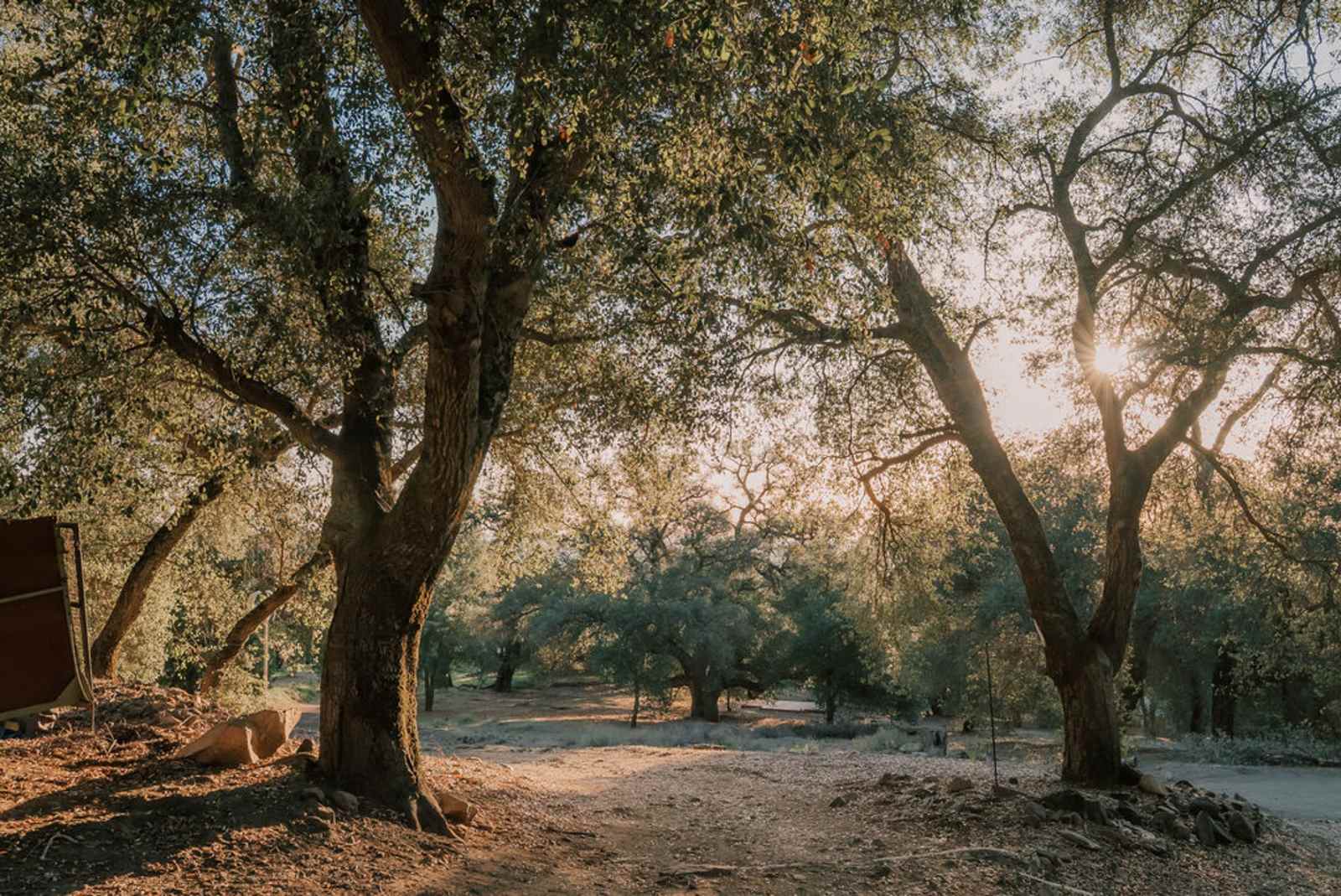 Harrison Serenity Ranch - Pauma Valley, California - glamping.directory