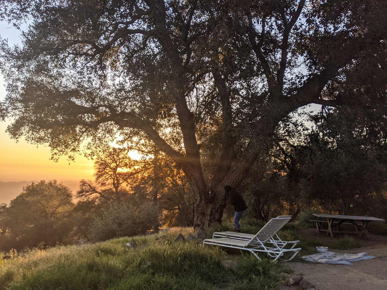 Harrison Serenity Ranch - Pauma Valley, California - glamping.directory