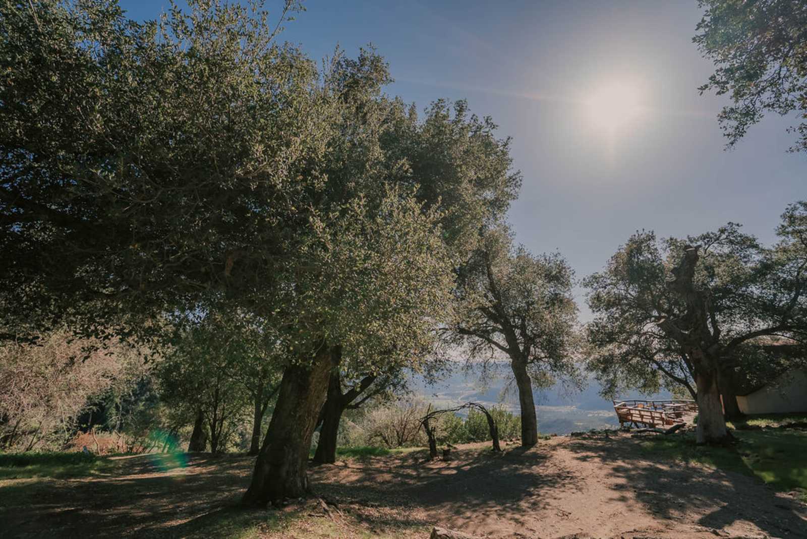 Harrison Serenity Ranch - glamping.directory