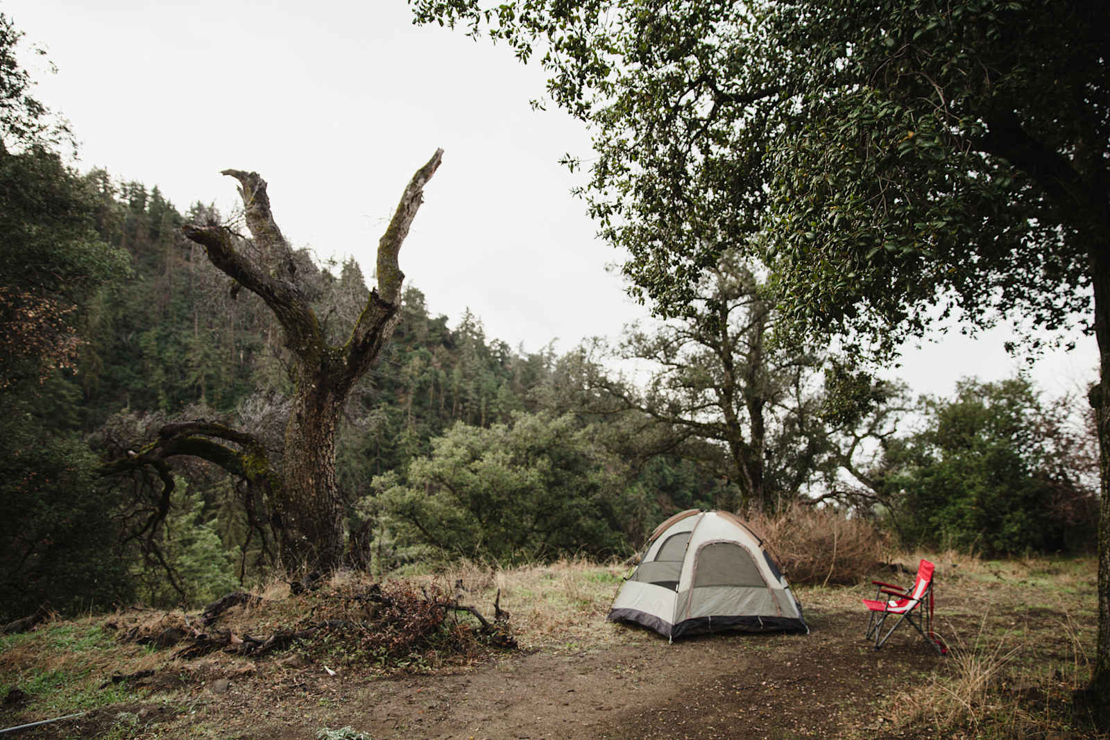 Harrison Serenity Ranch - Pauma Valley, California - glamping.directory