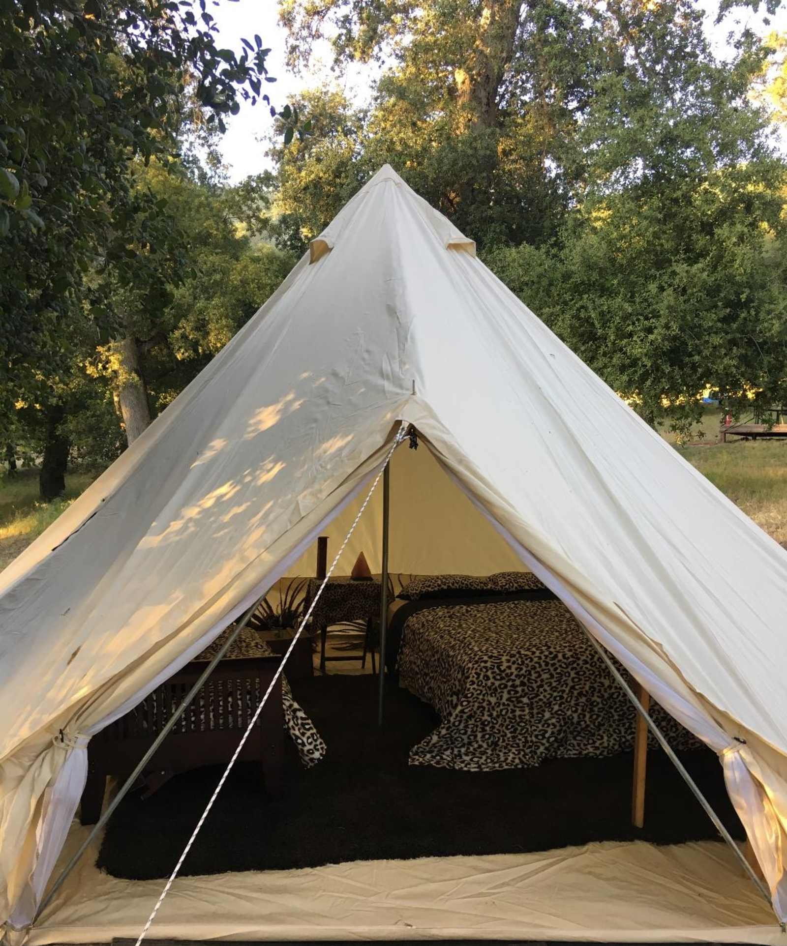 Harrison Serenity Ranch - Pauma Valley, California - glamping.directory