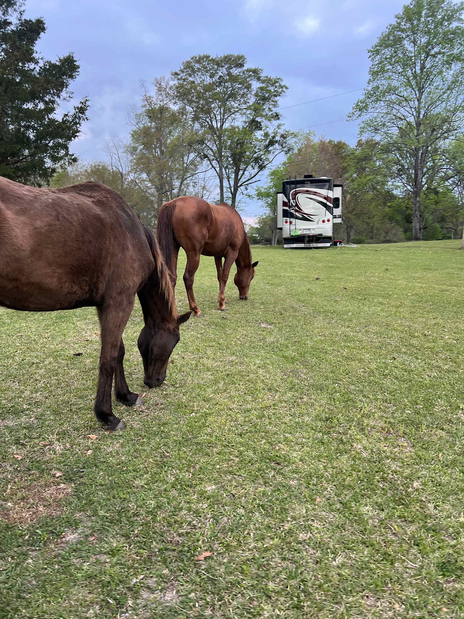 Cosby Ranch - glamping.directory